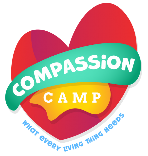 Register for 2023 VBS and Choir Camp