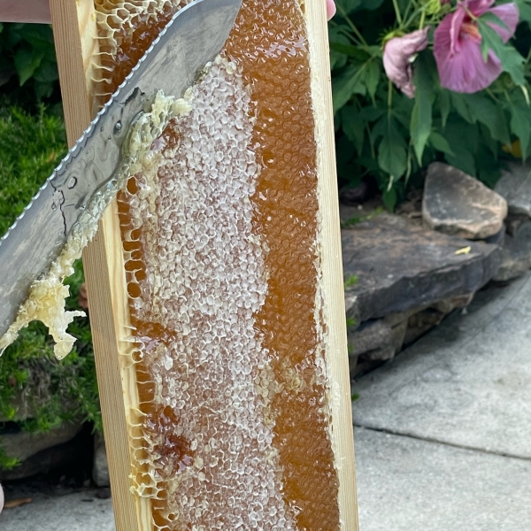 Small Honey Harvest
