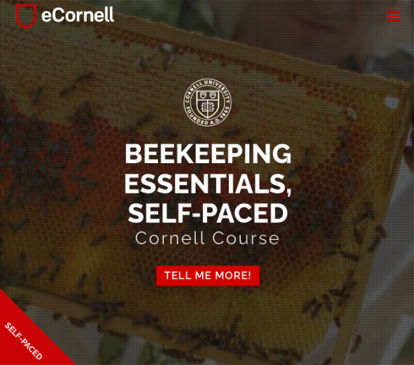 Beekeeping Essentials Course